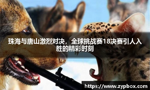 sunbet官方网站
